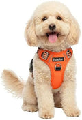 Funfox Dog Harness No Pull, Adjustable Pet Vest Harness, Super Soft Material by MyFUNFOX