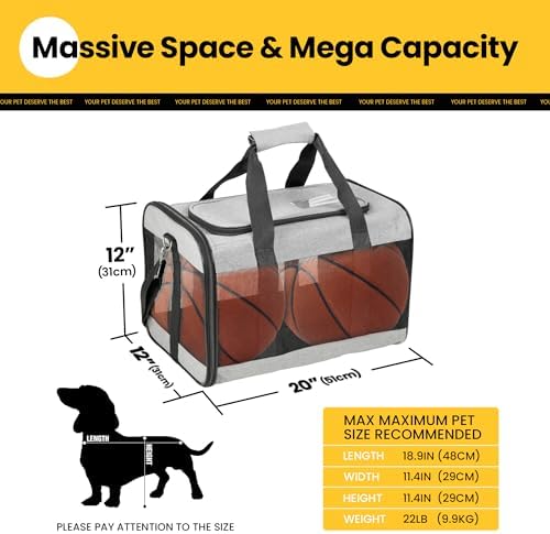 Conlun Dog Carrier Soft Sided, Large Cat Carrier - Image 2