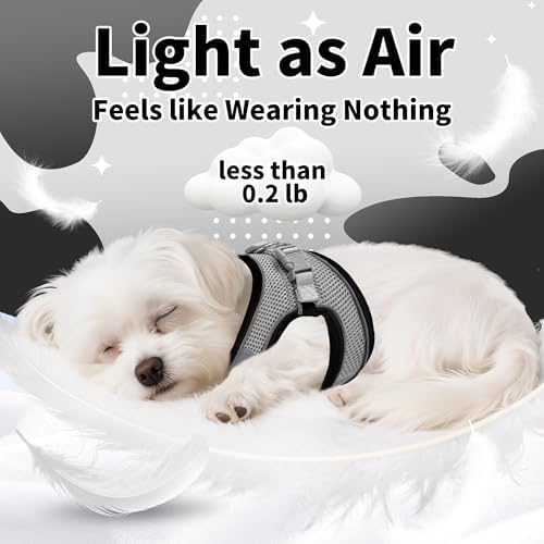 AIITLE Medium Dog Harness and Leash Set, Step-in Puppy Pet Vest - Image 6