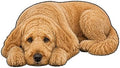 3D Realistic Dog Shaped Bath Mat & Floor Rug by MOFABIA