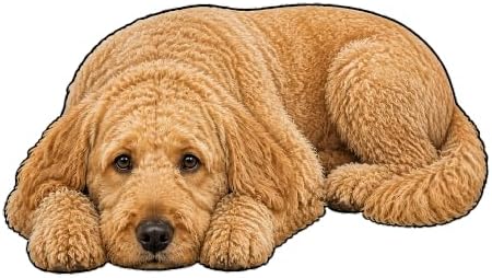 3D Realistic Dog Shaped Bath Mat & Floor Rug by MOFABIA
