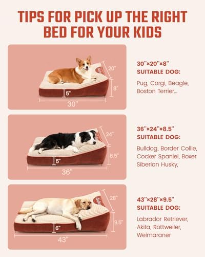 Washable Dog Bed with Removable Cover - Image 3