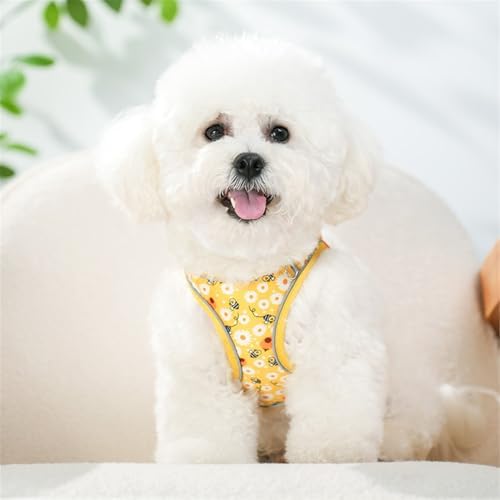 Step in Dog Harness No Pull Honeybee Adjustable Soft Mesh Harness - Image 5