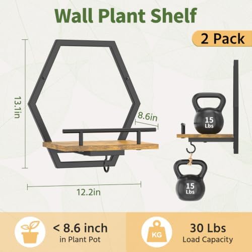 LASZOLA Plant Picture Frame Holder Shelf Wall Window Indoor - Image 2