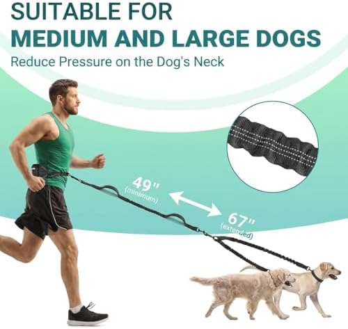 Hands Free Dog Leash 2 Dogs, Waist Leash - Image 5