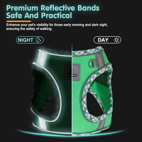 Dog Harness and Leash Set, No Pull Pet Harness - Image 5