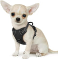 Eagloo Dog Harness for Small Dogs, No Pull Pet Vest by GoExplorewithEagloo