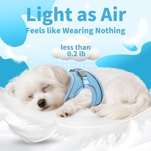 AIITLE Dog Harness and Leash Set, Step-in Puppy Pet Vest, Pure Blue S - Image 3