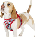 rabbitgoo Step-in Small Dog Harness, Puppy Vest by rabbitgoo