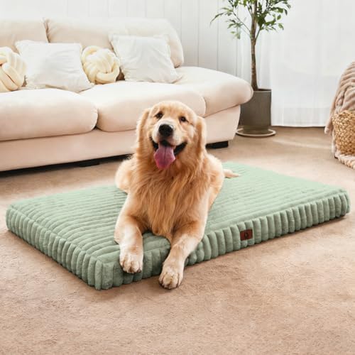 Large Orthopedic Dog Crate Bed by Cozila