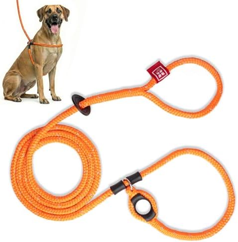 Harness Lead No Pull Dog Harness and Leash Set, Anti Pull Dog Harness, by HarnessLead
