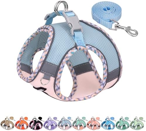 AIITLE Dog Harness and Leash Set by AIITLE-FORPETSBETTERLIFE