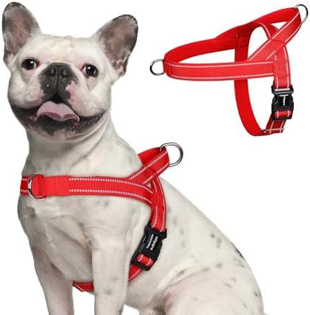 rabbitgoo Dog Harness No Pull, Quick Fit by rabbitgoo