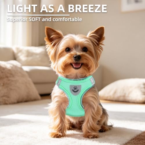 PUPTECK Adjustable Dog Harness Collar and Leash Set Step in No Pull Pet Harness - Image 3