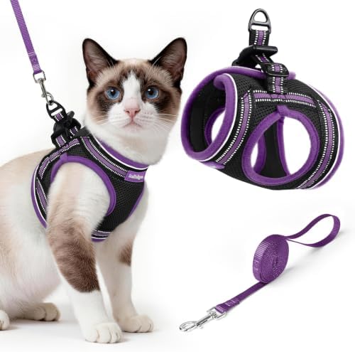 rabbitgoo Cat Harness and Leash Set, Step-in Soft Vest by rabbitgoo