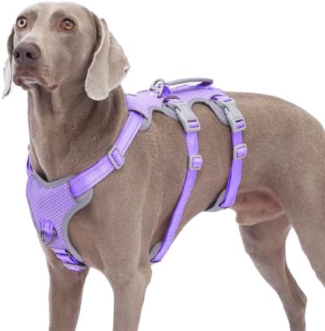 Huntboo Escape Proof Dog Harness, No Pull Reflective Harness by Huntboo