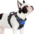 rabbitgoo Dog Harness Small Sized, Updated Easy On & Off by rabbitgoo