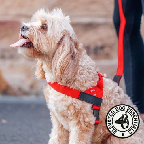 Dog Friendly Co. Dog Harness for Small Dogs, Adjustable - Image 6