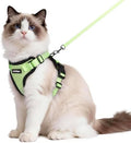 rabbitgoo Cat Harness and Leash Set, Escape Proof Vest, Light Green by rabbitgoo