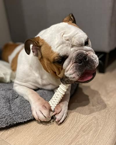 Nylabone Power Chew Textured Knuckle Bone Dog Toy, Chicken Flavor - Image 2