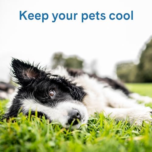 The Green Pet Shop Cool Pet Pad - Image 3