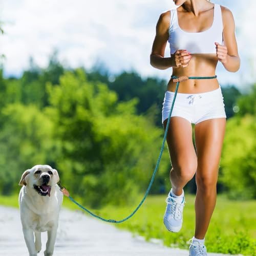 Mile High Life Hands Free Dog Leash, Crossbody Waist Leash - Image 2