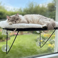 Cat Window Perch, Cordless Cat Hammock Window Seat by Unknown