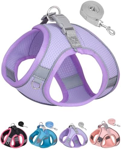 Dog Harness and Leash Set for Small Medium Dogs, Puppy Harness by Aecllcea