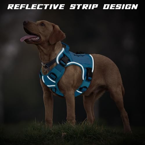 WINGOIN Blue Tactical Dog Harness - Image 3