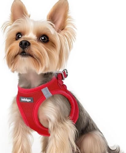 rabbitgoo Step-in Small Dog Harness, Puppy Vest by rabbitgoo
