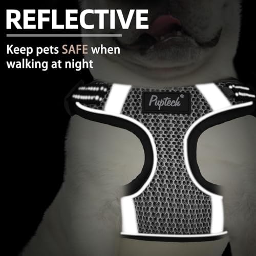 PUPTECK Dog Harness and Leash Set Medium Sized, Step in No Pull Adjustable - Image 4