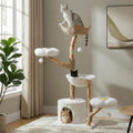 MUTTROS 59" Modern Wood Cat Tree by MUTTROS