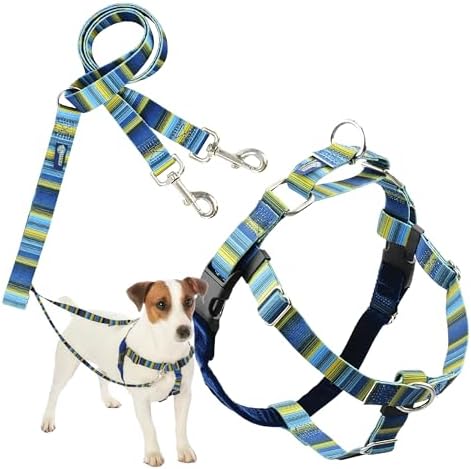 2 Hounds Design by 2HoundsDesign