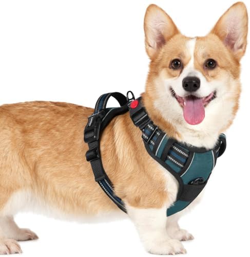 rabbitgoo Dog Harness Small Sized, Updated Easy On & Off by rabbitgoo
