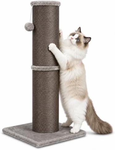 Cat Scratching Post with 5.5 Inch Diameter Sisal Post, 32 Inch by AGYM