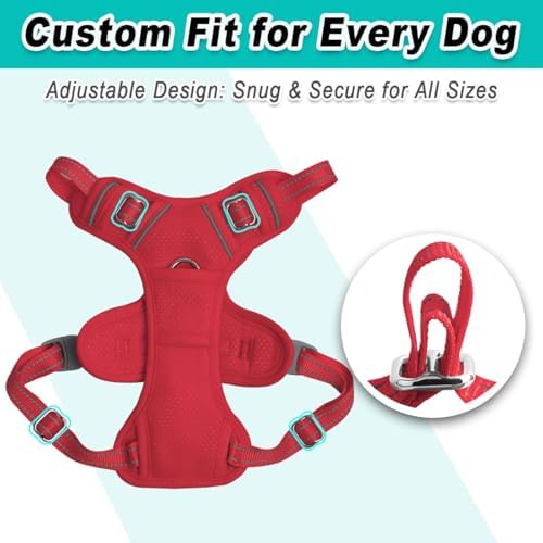 BARKBAY Dog Harness for Small Sized Dog No Pull Mesh 2 Clips Dog Vest - Image 6