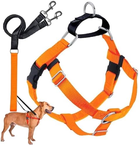2 Hounds Design Freedom No Pull Dog Harness and Leash, 5/8" XS, Neon Orange by 2HoundsDesign