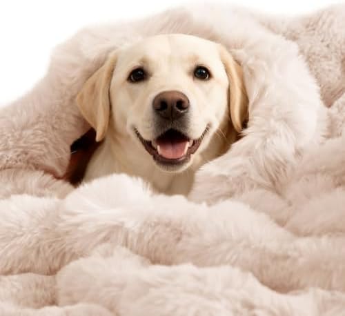 SOMAHE Dog Blanket for Couch Bed, Soft Faux Fur, Large 39x31 Milky White by COZYHOMECHICSTYLE