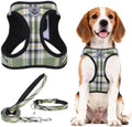 PUPTECK Dog Harness, Collar and Leash Set No Pull by PUPTECK