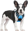 rabbitgoo Dog Harness, No Pull for Small Dogs by rabbitgoo