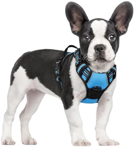 rabbitgoo Dog Harness, No Pull for Small Dogs by rabbitgoo