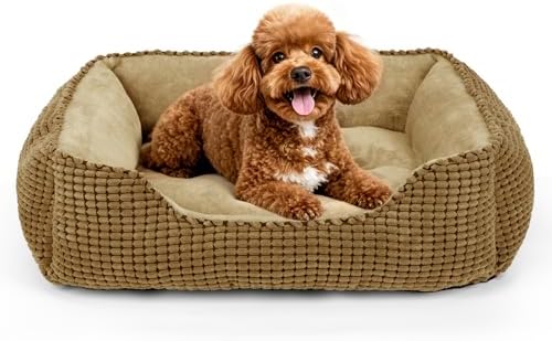 MIXJOY Rectangle Washable Orthopedic Dog Bed by MIXJOY