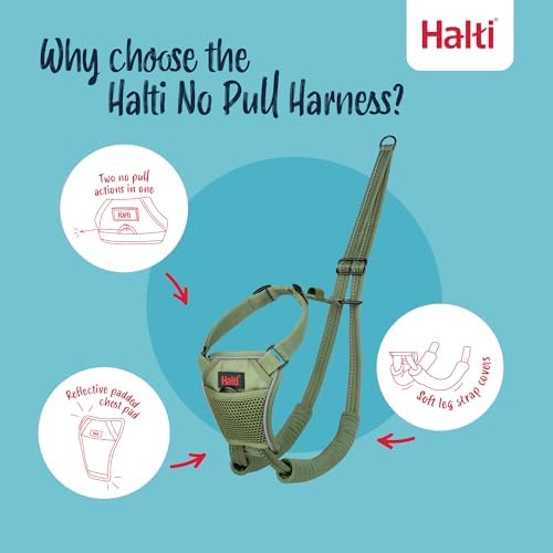 Halti No Pull Dog Harness | Size S, Forest Green - Image 3