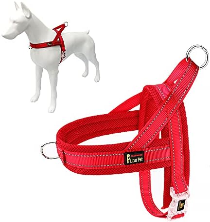 Plutus Pet No Pull Dog Harness for Puppy Small Dogs, Breathable Mesh Padded by PLUTUSPET