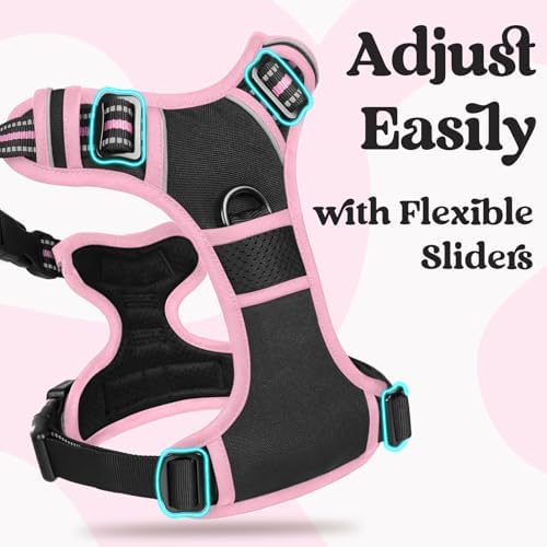 rabbitgoo Dog Harness for Large, Updated Easy On & Off - Image 3