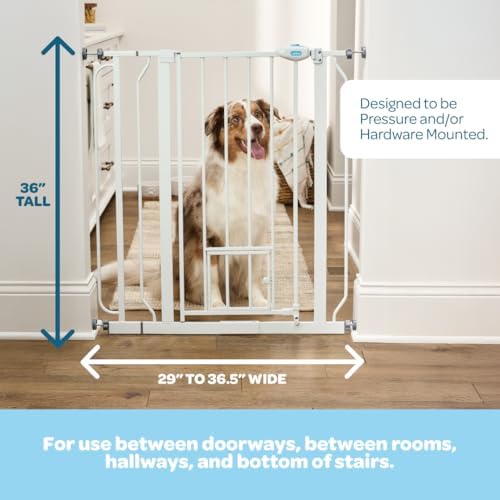 Carlson 36" Extra Tall Walk Through Dog Gate - Image 2