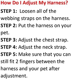 Best Pet Supplies Voyager Adjustable Step-in Flex Breathable Mesh Dog Harness - Image 2