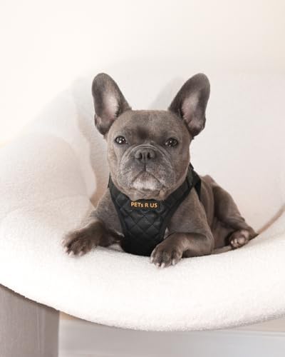 Step in Dog Harness, Lightweight Breathable Mesh Soft Padded Pet Vest, Vegan - Image 6