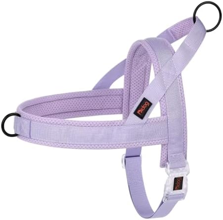Didog No Pull Dog Harness with Breathable Mesh Padded, Quick Fit and Easy on by Didog
