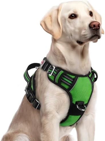 rabbitgoo Dog Harness for Large, No Pull 3 Buckles Easy On & Off by rabbitgoo